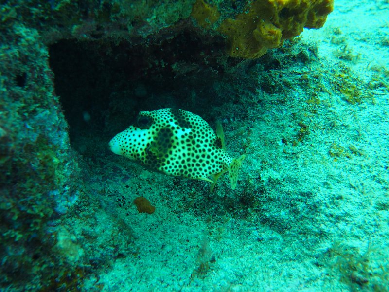 Curacao 04-12 123.JPG